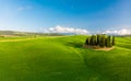 Beautiful landscape of Tuscany in Italy - Group of italian cypresses near San Quirico dÃÂ´Orcia - aerial view - Val dÃ¢â¬â¢Orcia, Royalty Free Stock Photo